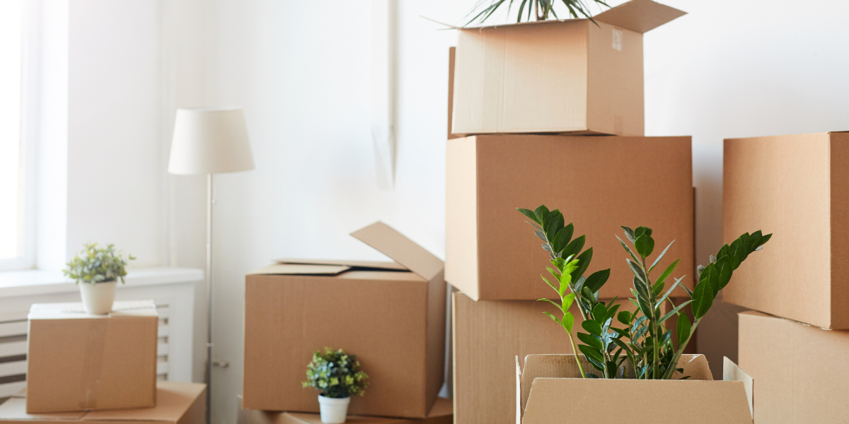 Bunch of boxes put together ready for a house move